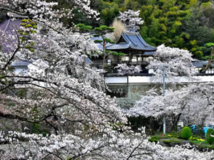 大雲寺