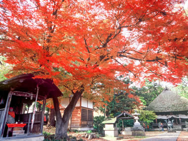 Chisikiji temple