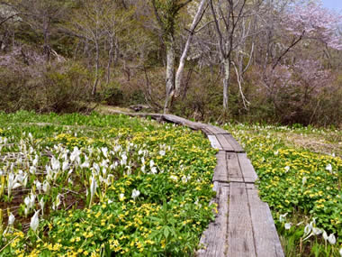 Madarao Plateau