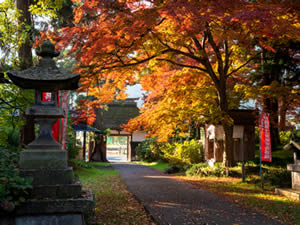 智識寺