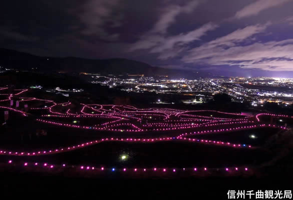 姨捨ペットボタル夜景