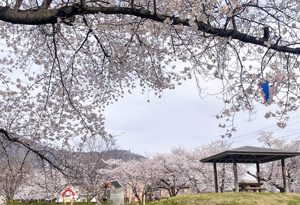 上山田中央公園